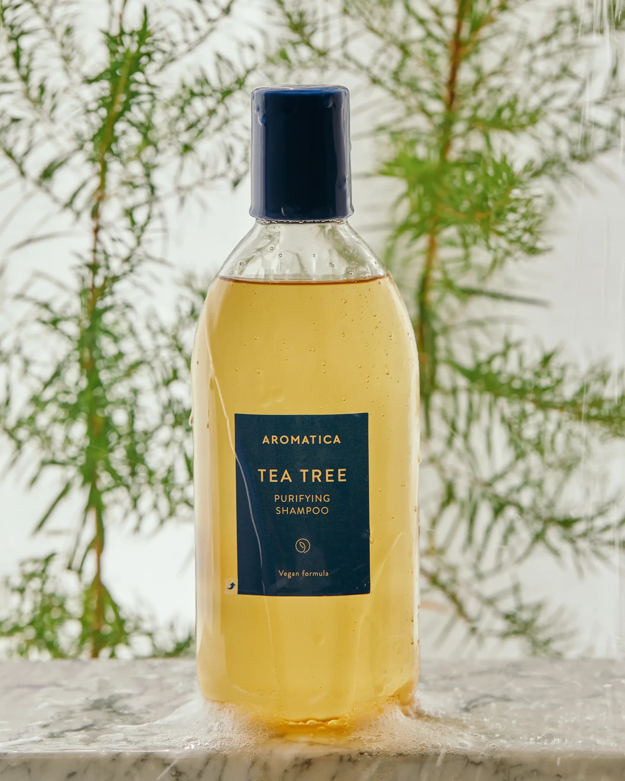 AROMATICA Tea Tree Purifying Shampoo